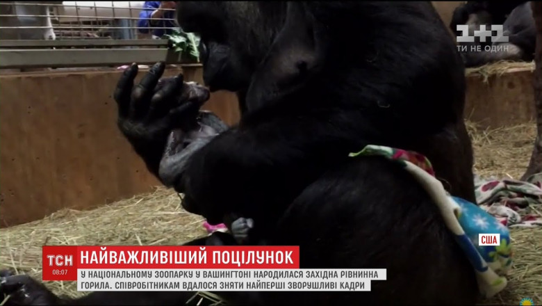 Волнительные моменты 