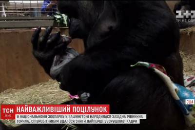 Волнительные моменты 