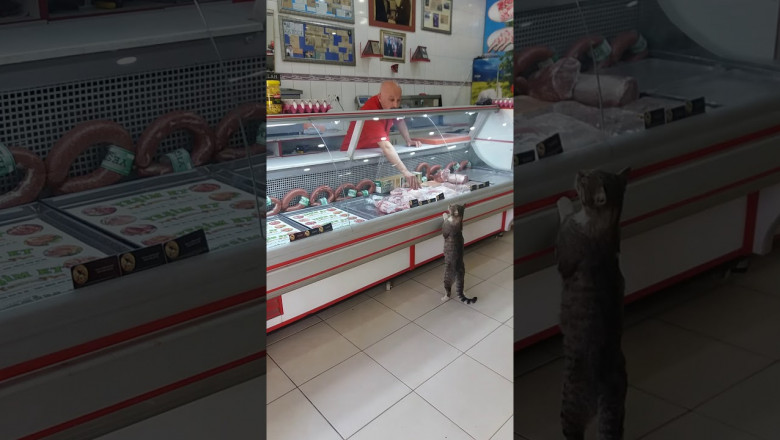 Мне , пожалуйста , вон тот кусочек !