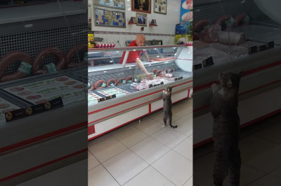 Мне , пожалуйста , вон тот кусочек !