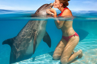 Неожиданное появление 