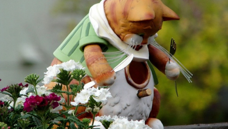 Необычный скворечник 