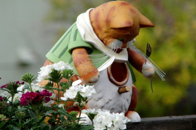 Необычный скворечник 