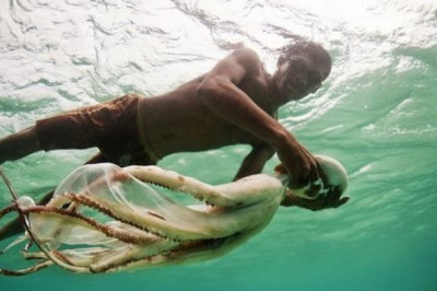 Индонезийские 