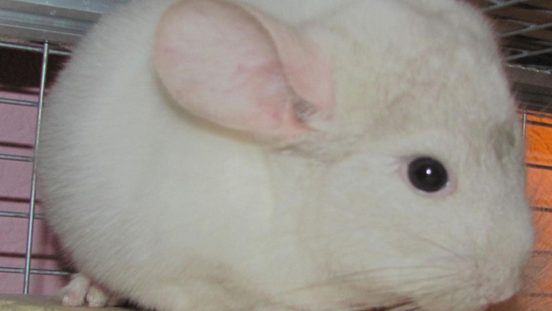 Райское наслаждение 