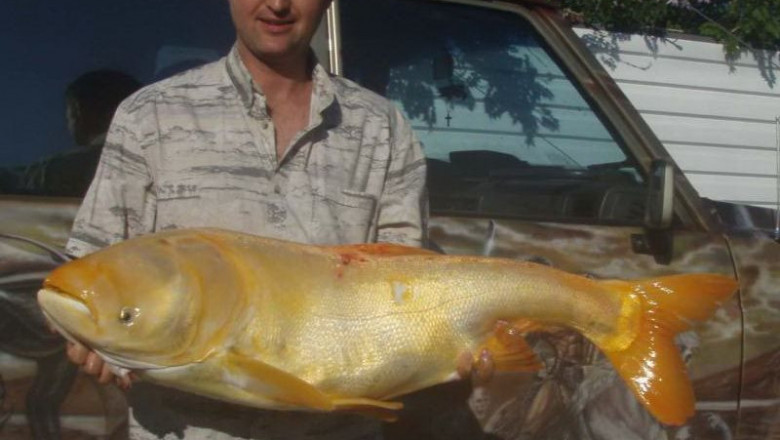 Улов так улов 