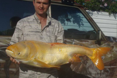 Улов так улов 