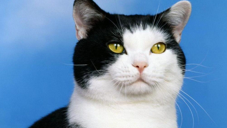 Всегда вместе !