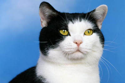 Всегда вместе !