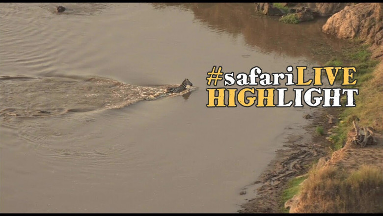 Каким бывает настоящее  невезение 