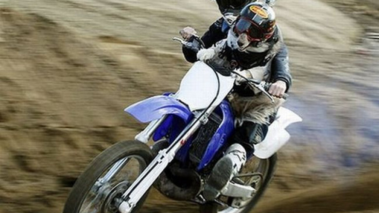 Любитель езды с ветерком 