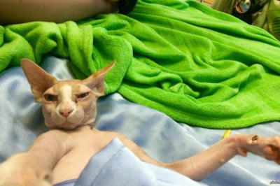 У подруги опять дежавю