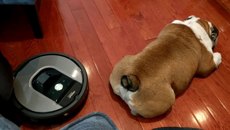 Непреодолимая лень 