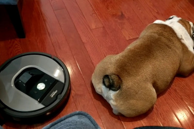 Непреодолимая лень 