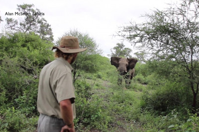 Главное - хладнокровие 