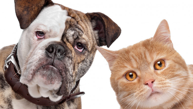 Знай своё место !