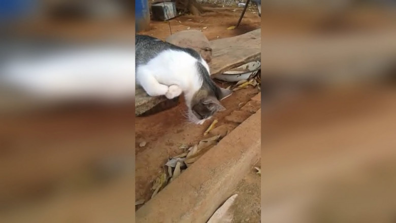 Вот так вырубило 