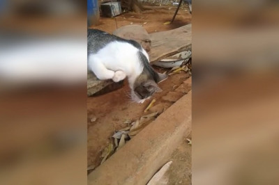 Вот так вырубило 