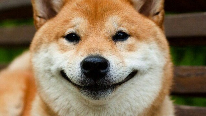 Реакция на щекотку 