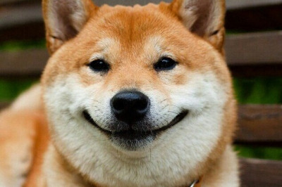 Реакция на щекотку 