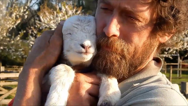 Обнимашки с животными 