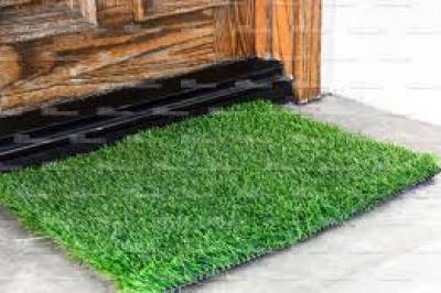 Травка зеленела….