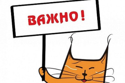 Сосед прикольнулся