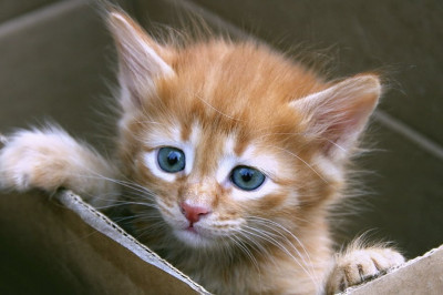 Всё обернулось в лучшую сторону 