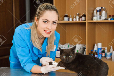 Когда кажется , что тебя преследуют 