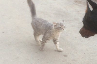 Снова вместе !