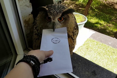 Сова - почтальон 