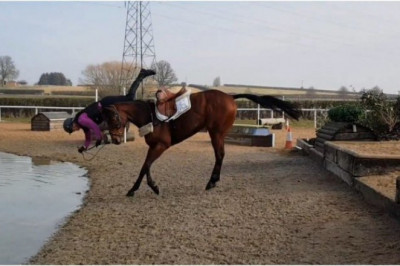 Лошадь эффектно сбросила наездницу 