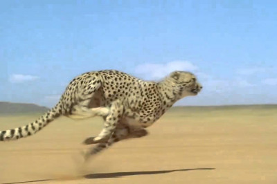 Вот это скорость !