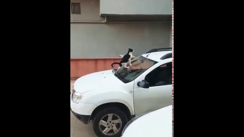 Уйду-ка я лучше подальше 