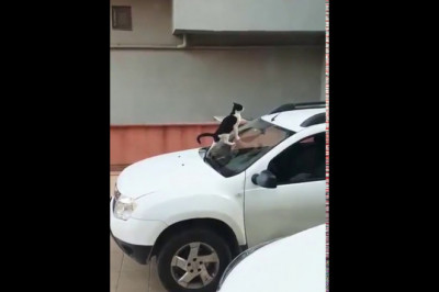 Уйду-ка я лучше подальше 