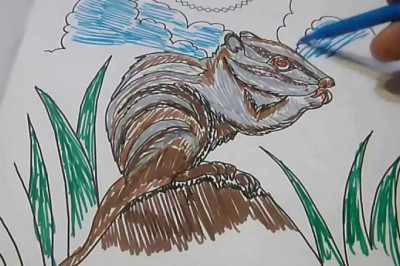 Докажите, что вы не робот