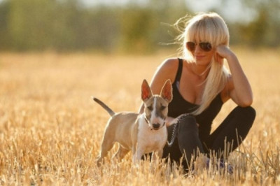 Неизвестная порода собак 