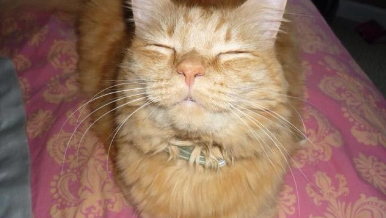 Минуты блаженства 