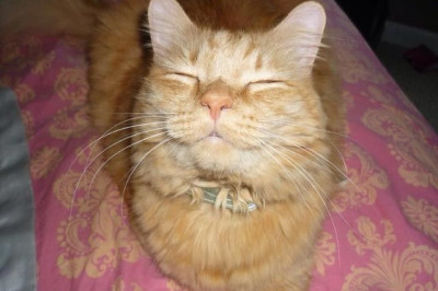 Минуты блаженства 