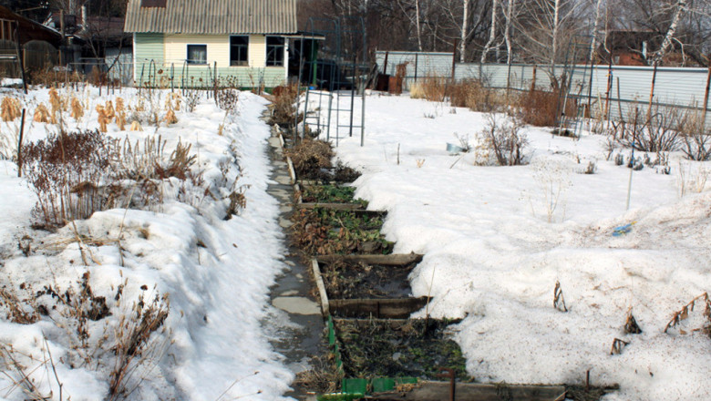 Посадка картошки в снег 