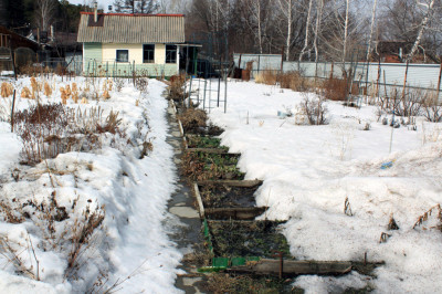 Посадка картошки в снег 