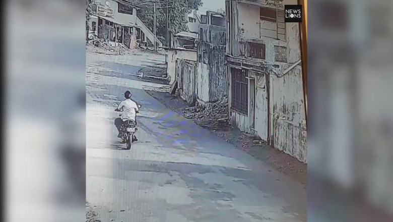 Обезьяны терроризируют жителей деревни 