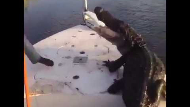 Нежелательный попутчик 