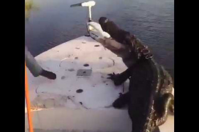 Нежелательный попутчик 