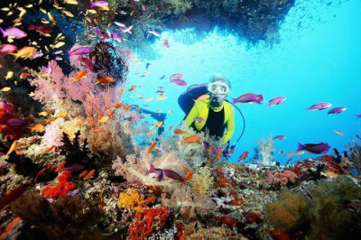 После развода потянуло на экстрим 