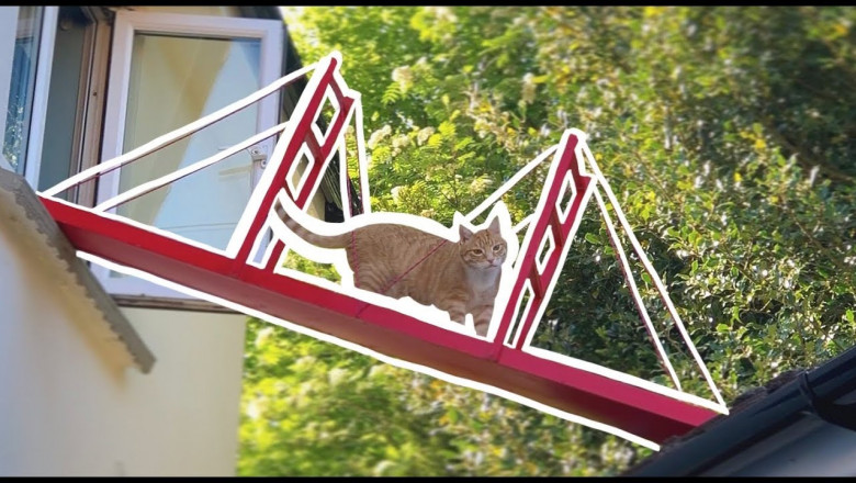 Мост для любимого кота 