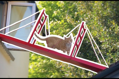 Мост для любимого кота 