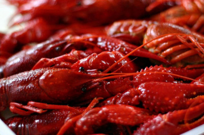 Откусив собственную клешню , рак сбежал из кастрюли с кипятком 