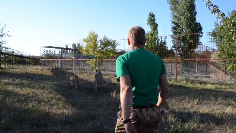 Действенный воспитательный метод 