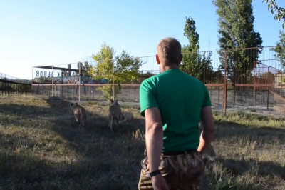 Действенный воспитательный метод 